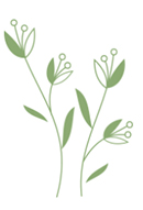 軟筆書(shū)法展